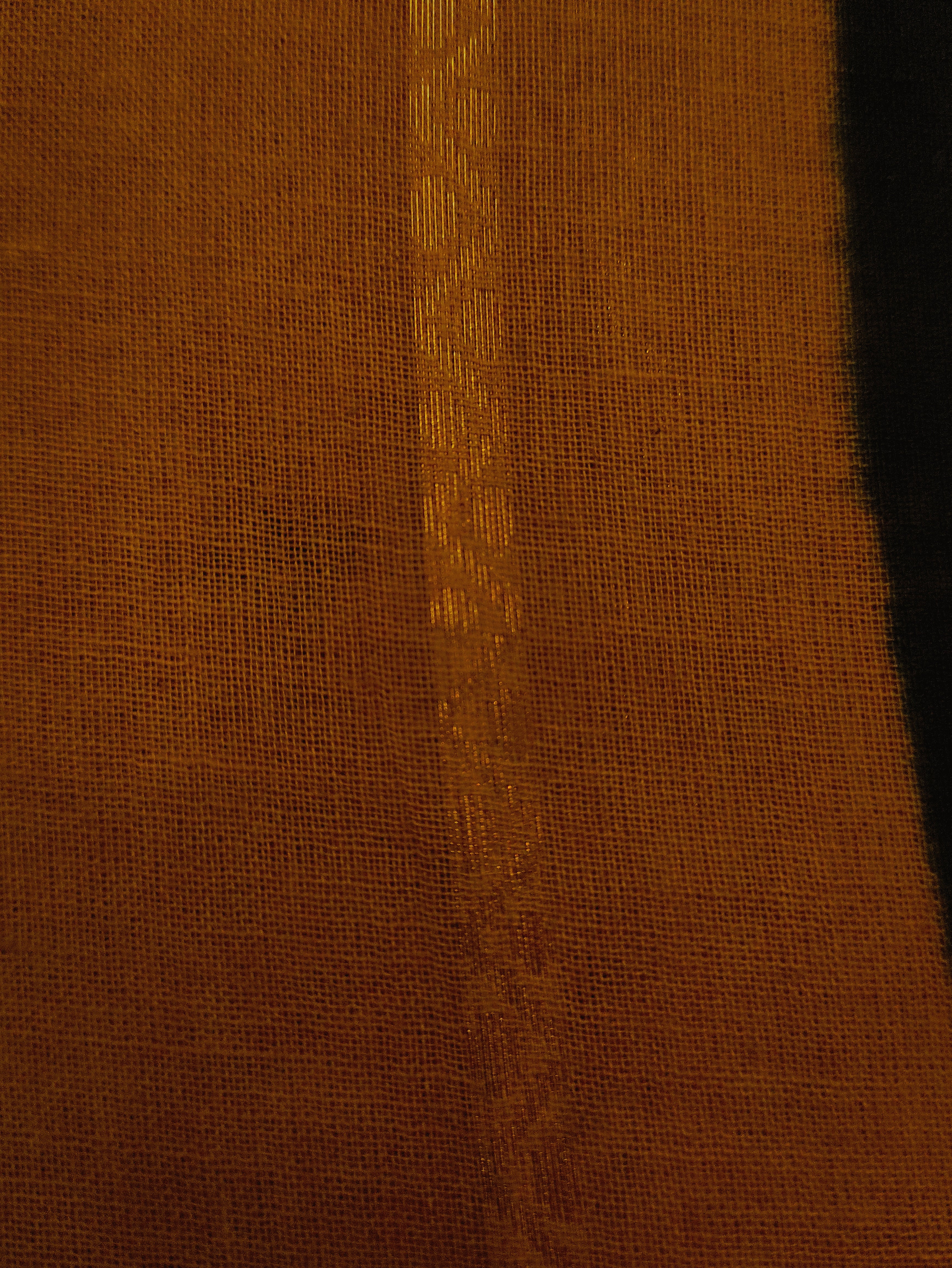 KV-SUVARNA: Golden Yellow Kanchi Veldhari Saree